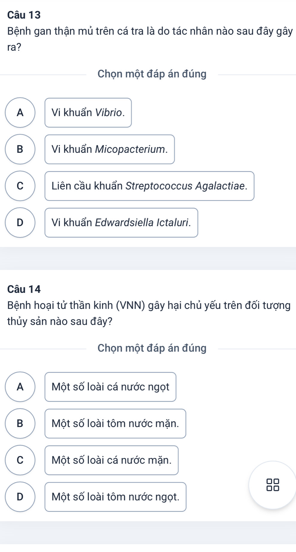 Bệnh gan thận mủ trên cá tra là do tác nhân nào sau đây gây
ra?
Chọn một đáp án đúng
A Vi khuẩn Vibrio.
B Vi khuẩn Micopacterium.
C Liên cầu khuẩn Streptococcus Agalactiae.
D Vi khuẩn Edwardsiella Ictaluri.
Câu 14
Bệnh hoại tử thần kinh (VNN) gây hại chủ yếu trên đối tượng
thủy sản nào sau đây?
Chọn một đáp án đúng
A Một số loài cá nước ngọt
B Một số loài tôm nước mặn.
C Một số loài cá nước mặn.

D Một số loài tôm nước ngọt.