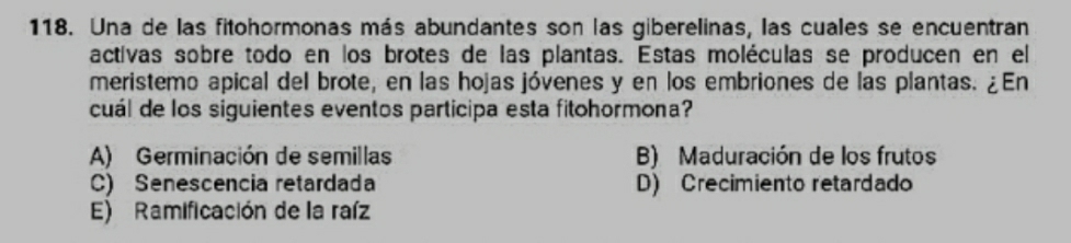 Una de las fitohormonas más abundantes son las giberelinas, las cuales se encuentran
actívas sobre todo en los brotes de las plantas. Estas moléculas se producen en el
meristemo apical del brote, en las hojas jóvenes y en los embriones de las plantas. ¿En
cuál de los siguientes eventos participa esta fitohormona?
A) Germinación de semillas B) Maduración de los frutos
C) Senescencia retardada D) Crecimiento retardado
E) Ramificación de la raíz