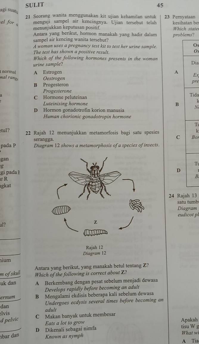 SULIT 45
agi suat
21 Seorang wanita menggunakan kit ujian kehamilan untuk 23 Pernyataan
vel for a menguji sampel air kencingnya. Ujian tersebut telah kesihatan be
menunjukkan keputusan positif. Which stater
Antara yang berikut, hormon manakah yang hadir dalam problems?
sampel air kencing wanita tersebut?
A woman uses a pregnancy test kit to test her urine sample.
Os
The test has shown a positive result.
Os
Which of the following hormones presents in the woman
urine sample? Dia
normal A Estrogen A Ex
mal range Oestrogen
pre
B Progesteron
Progesterone
a Tída
C Hormone peluteinan
k
Luteinising hormone B N
D Hormon gonadotrofin korion manusia
Human chorionic gonadotropin hormone
T
tul? 22 Rajah 12 menunjukkan metamorfosis bagi satu spesies
k
C
serangga. Bor
pada P Diagram 12 shows a metamorphosis of a species of insects.
gan
g
T
gi pada kD
R
B
gkat
24 Rajah 13
satu tumb
Diagram
eudicot pl
ul?
_
_
nium
Antara yang berikut, yang manakah betul tentang Z?
mofskull Which of the following is correct about Z?
uk dan A Berkembang dengan pesat sebelum menjadi dewasa
Develops rapidly before becoming an adult
ernum B Mengalami ekdisis beberapa kali sebelum dewasa
dan Undergoes ecdysis several times before becoming an
adult
lvis C Makan banyak untuk membesar
d pelvic Apakah
Eats a lot to grow
D Dikenali sebagai nimfa tisu W g
bar dan Known as nymph What wi
A Tia