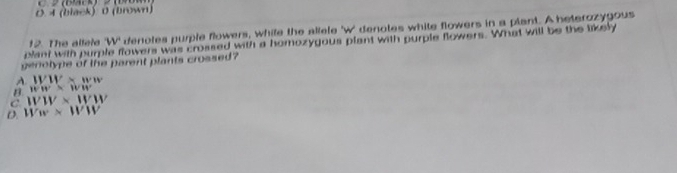 0.4 (black) 0 (brown)
12. The allele W denoles purple flowers, while the allele 'W' denotes white flowers in a plant. A beterozygous
pant with purple flowers was crossed with a homozygous plant with purple flowers. What will be the likely
genotype of the parent plants crossed?
A WM* ww
B. ww=ww
C WW* WW
D. Ww* WW