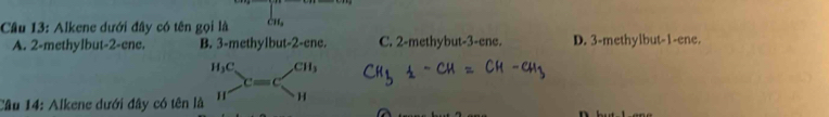 Cầâu 13: Alkene dưới đây có tên gọi là cn,
A. 2 -methylbut -2 -ene. B. 3 -methylbut -2 -ene. C. 2 -methybut- 3 -ene. D. 3 -methylbut -1 -ene.
Câu 14: Alkene dưới đây có tên là beginarrayr H_3C BC=C=beginarrayr CH_3 Hendarray
n