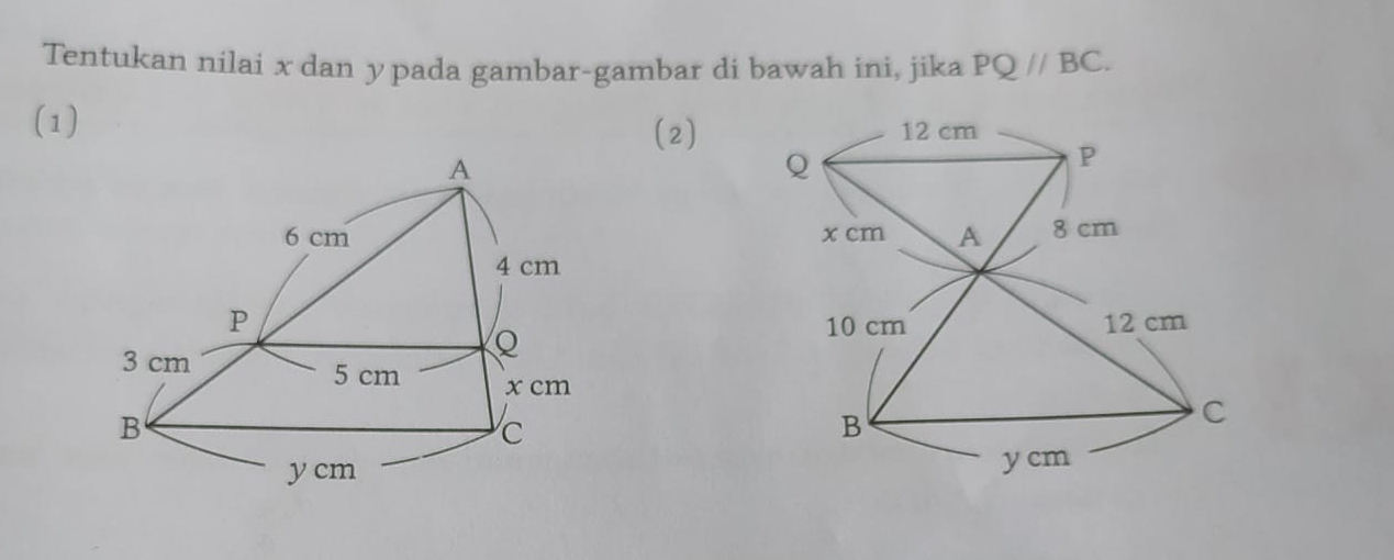 Tentukan nilai x dan ypada gambar-gambar di bawah ini, jika PQ//BC. 
(1) 
(2)