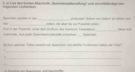 Lies den kurzen Abschnitt „,Spermienzellenreifung'' und vervollständige den 
folgenden Lückentext. 
Spermien werden in den _produziert. Schon von Geburt an bilden sich 
hier_ zellen, die aber bis zur Pubertät ruhen. 
Erst in der Pubertät, unter dem Einfluss des Hormons Testosteron,_ diese sich 
mehrmals. Aus jeder Spermienmutterzelle entstehen _Spermien. 
b) Aus welchen Teilen besteht ein Spermium und welche Funktionen haben die Teile? 
1._ 
_: 
2._ 
_: 
3._ 
_: 
c eichn e ein Spermium und beschrifte: