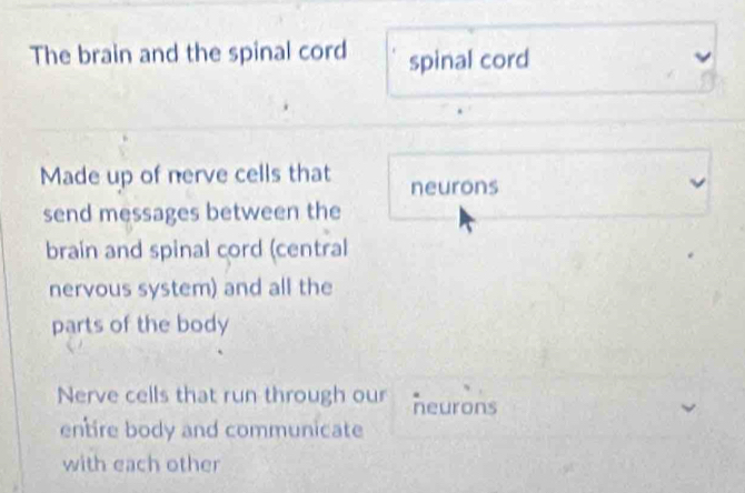 The brain and the spinal cord spinal cord
Made up of nerve cells that neurons
send messages between the
brain and spinal cord (central
nervous system) and all the
parts of the body
Nerve cells that run through our neurons
entire body and communicate
with each other