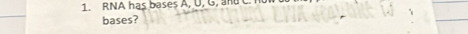 RNA has bases A, U, G, ad C 
bases?