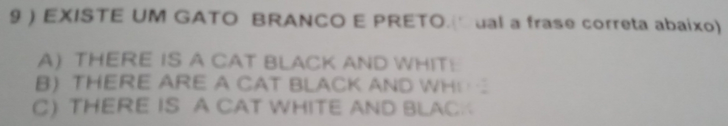 9 ) EXISTE UM GATO BRANCO E PRETO. ual a frase correta abaixo)
A) THERE IS A CAT BLACK AND WHIT!
B) THERE ARE A CAT BLACK AND WH
C) THERE IS A CAT WHITE AND BLACK