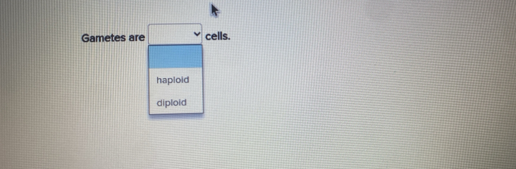 Gametes are □ cells.
haploid
diploid