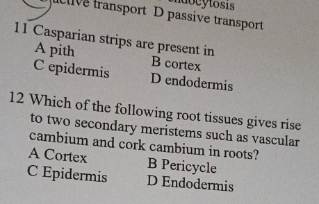 live transport D passive transport
11 Casparian strips are present in
A pith B cortex
C epidermis D endodermis
12 Which of the following root tissues gives rise
to two secondary meristems such as vascular
cambium and cork cambium in roots?
A Cortex B Pericycle
C Epidermis D Endodermis