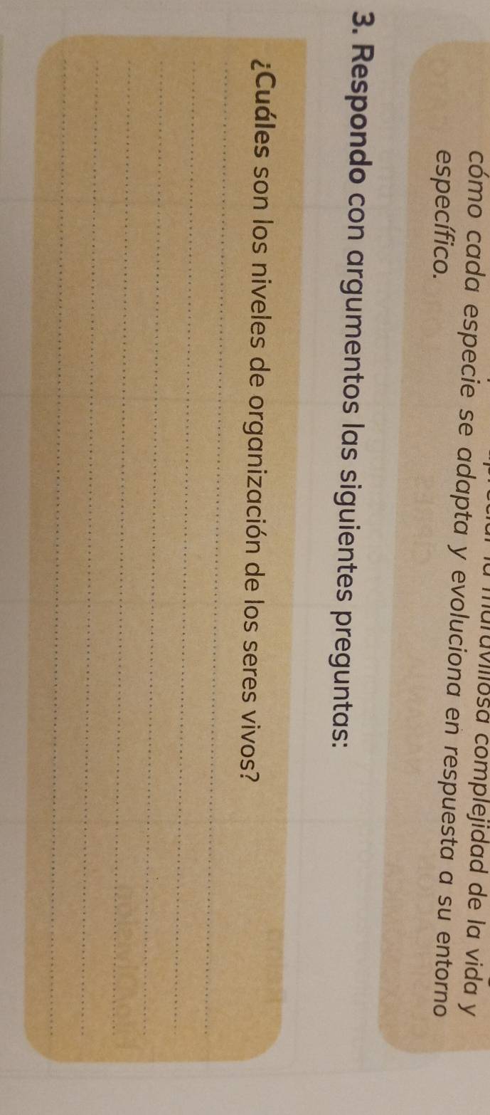 muravillosa complejidad de la vida y 
cómo cada especie se adapta y evoluciona en respuesta a su entorno 
específico. 
3. Respondo con argumentos las siguientes preguntas: 
_ 
¿Cuáles son los niveles de organización de los seres vivos? 
_ 
_ 
_ 
_ 
_ 
_