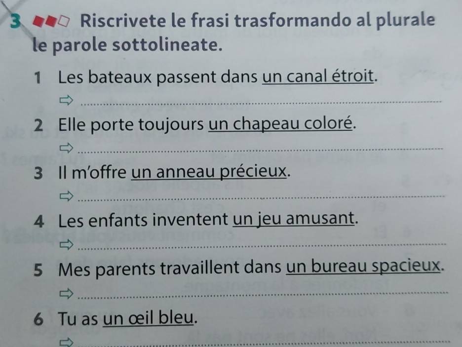 Riscrivete le frasi trasformando al plurale 
le parole sottolineate. 
1 Les bateaux passent dans un canal étroit. 
_ 
2 Elle porte toujours un chapeau coloré. 
_ 
3 Il m'offre un anneau précieux. 
_ 
4 Les enfants inventent un jeu amusant. 
_ 
5 Mes parents travaillent dans un bureau spacieux. 
_ 
6 Tu as un œil bleu. 
_