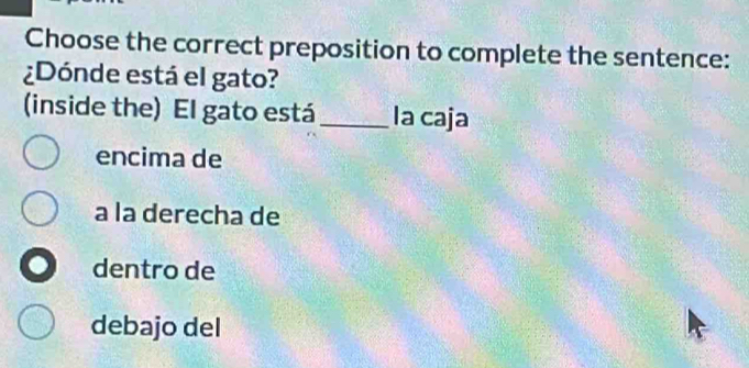 Choose the correct preposition to complete the sentence:
¿Dónde está el gato?
(inside the) El gato está _Ia caja
encima de
a la derecha de
dentro de
debajo del