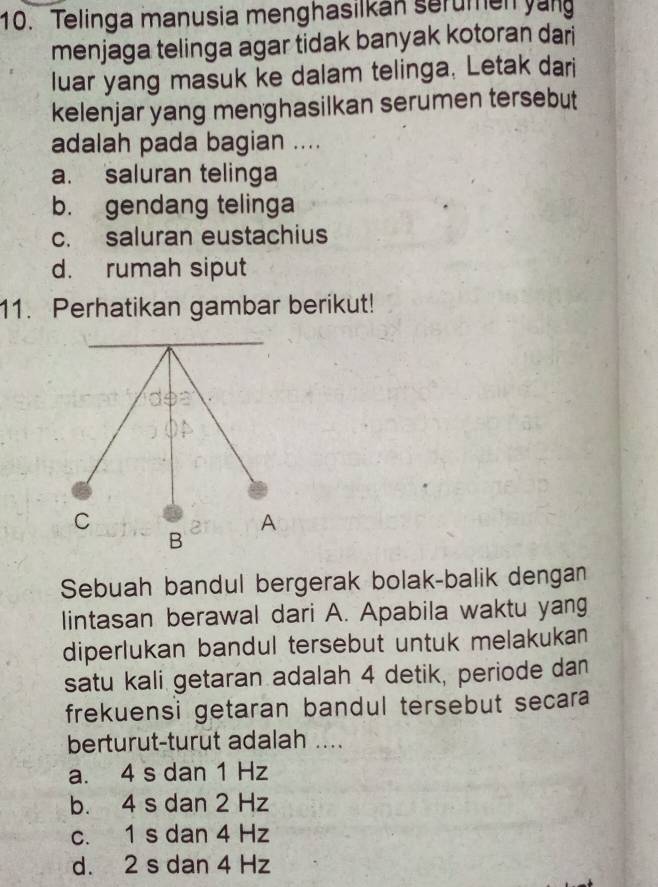 Telinga manusia menghasilkan serumen yan
menjaga telinga agar tidak banyak kotoran dari
luar yang masuk ke dalam telinga. Letak dari
kelenjar yang menghasilkan serumen tersebut
adalah pada bagian ....
a. saluran telinga
b. gendang telinga
c. saluran eustachius
d. rumah siput
11. Perhatikan gambar berikut!
Sebuah bandul bergerak bolak-balik dengan
lintasan berawal dari A. Apabila waktu yang
diperlukan bandul tersebut untuk melakukan 
satu kali getaran adalah 4 detik, periode dan
frekuensi getaran bandul tersebut secara
berturut-turut adalah ....
a. 4 s dan 1 Hz
b. 4 s dan 2 Hz
c. 1 s dan 4 Hz
d. 2 s dan 4 Hz