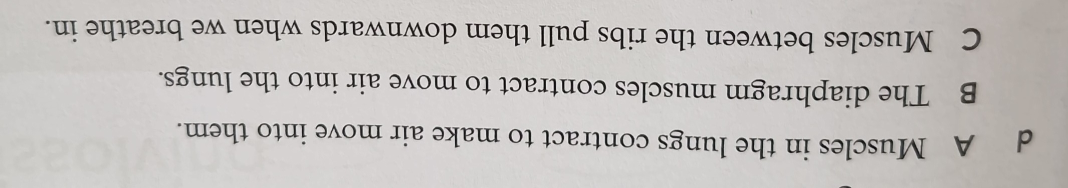 d A Muscles in the lungs contract to make air move into them.
B The diaphragm muscles contract to move air into the lungs.
C Muscles between the ribs pull them downwards when we breathe in.