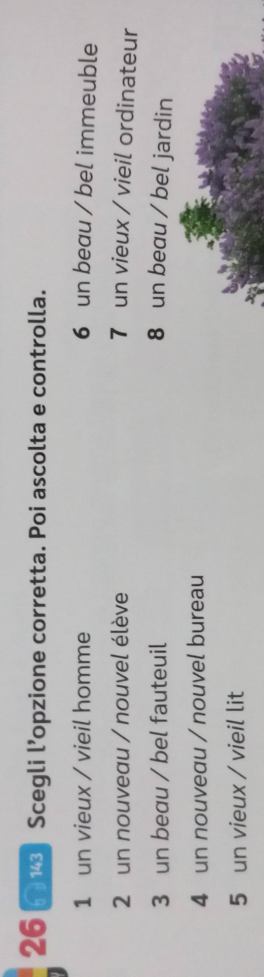 26 * 143] Scegli l’opzione corretta. Poi ascolta e controlla.
1 un vieux / vieil homme 6 un beau / bel immeuble
2 un nouveau / nouvel élève 7 un vieux / vieil ordinateur
3 un beau / bel fauteuil 8 un beau / bel jardin
4 un nouveau / nouvel bureau
5 un vieux / vieil lit