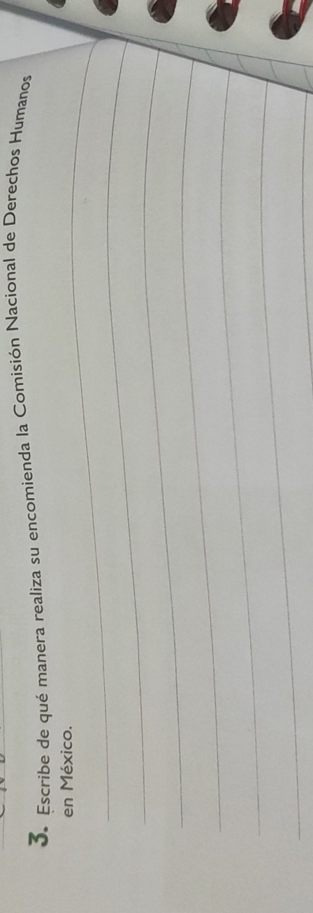 Escribe de qué manera realiza su encomienda la Comisión Nacional de Derechos Humanos 
_en México. 
_ 
_ 
_ 
_ 
_ 
_