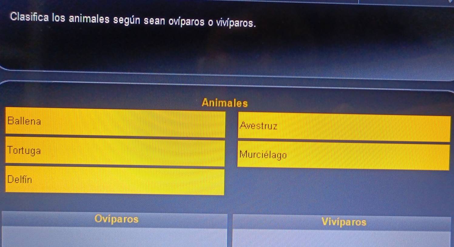 Clasifica los animales según sean ovíparos o vivíparos.
Animales
Ballena Avestruz
Tortuga Murciélago
Delfin
Oviparos Vivíparos
