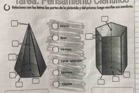 Tarea. Pensamiento Cientco 
Relaciona con las letras las partes de la pirámide y del prisma; luego escribe sus nombres. 
Altura 
Base 
Vértices 
Caras laterales 
Apotema 
Cúspide