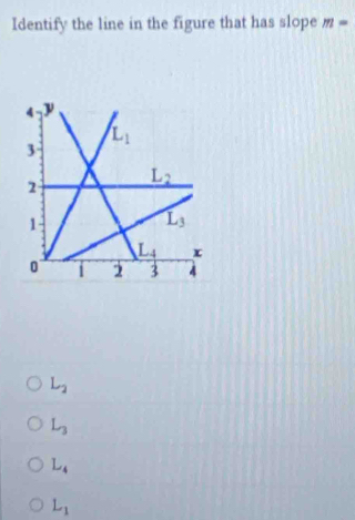 Identify the line in the figure that has slope m=
L_2
L_3
L_4
L_1