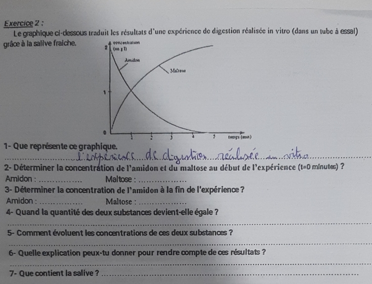 Le graphique ci-dessous traduit les résultats d'une expérience de digestion réalisée in vitro (dans un tube à essal) 
grâce à la salive fraiche. 
1- Que représente ce graphique. 
_ 
_ 
2- Déterminer la concentration de l'amidon et du maltose au début de l'expérience (t=0 minutes) ? 
Amidon : _ Maltose :_ 
3- Déterminer la concentration de l'amidon à la fin de l'expérience ? 
Amidon : _Maltose :_ 
4- Quand la quantité des deux substances devient-elle égale ? 
_ 
5- Comment évoluent les concentrations de ces deux substances ? 
_ 
6- Quelle explication peux-tu donner pour rendre compte de ces résultats ? 
_ 
7- Que contient la salive ?_