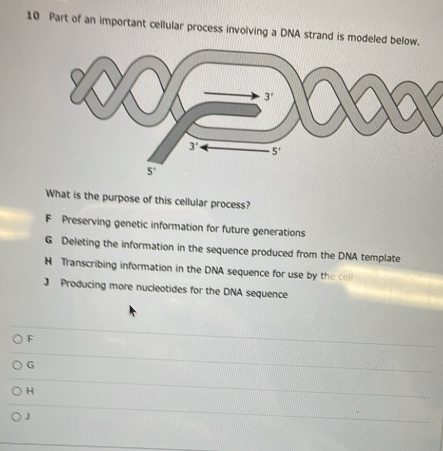 Part of an important cellular process involving a DNA strand is modeled below.
3'
3'
5'
5^+
What is the purpose of this cellular process?
F Preserving genetic information for future generations
G Deleting the information in the sequence produced from the DNA template
H Transcribing information in the DNA sequence for use by the cell
Producing more nucleotides for the DNA sequence
F
G
H
J