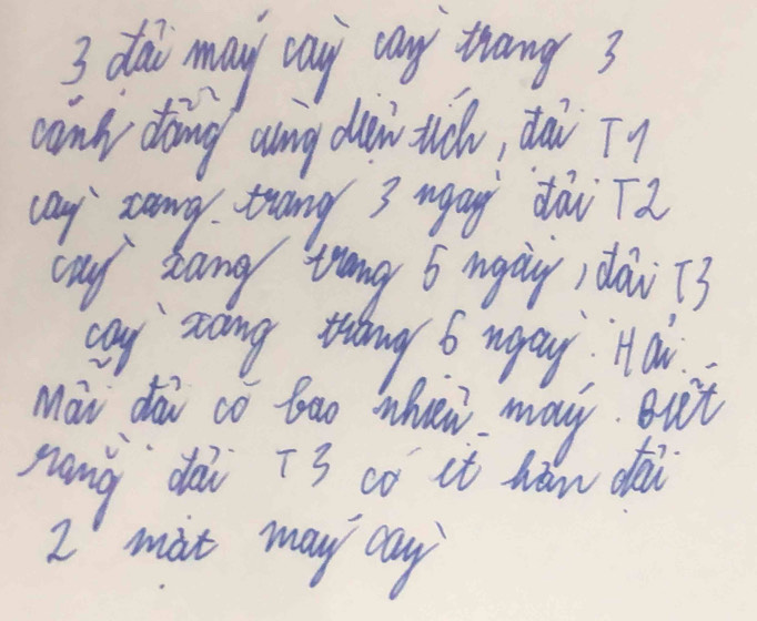 dal may cay any thrang3 
canly dong ang diw tudu, dai T9 
cay zany thang 3 mgag dài Tú 
cny bang trang 6 mgay daw 73
cay soing ting 6 wpay, Ha 
Maw do co bao whnew may But 
nang dài ī3 có it hw dài 
2 mat may cay