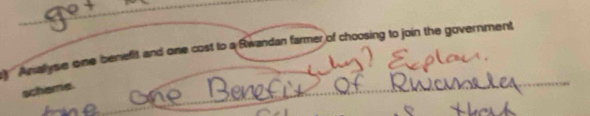 ' Anallyse one benefit and one cost to a Rwandan farmer of choosing to join the government 
schiamia. 
_