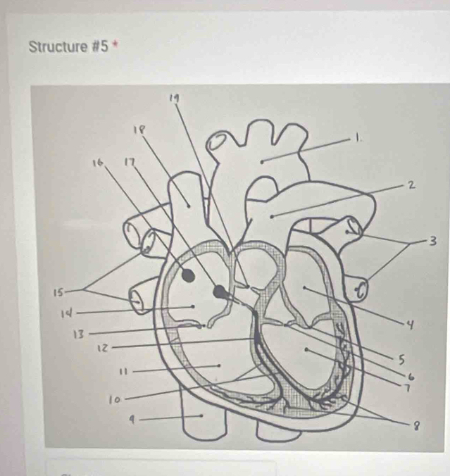 Structure # 5 *
3