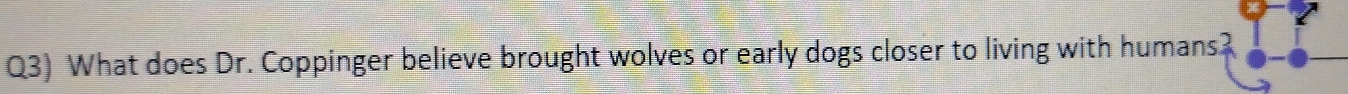 Q3) What does Dr. Coppinger believe brought wolves or early dogs closer to living with humans?