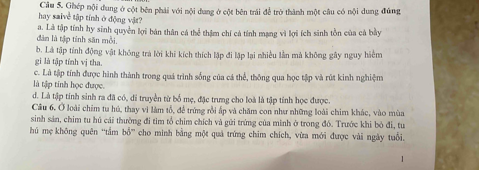 Ghép nội dung ở cột bên phải với nội dung ở cột bên trái để trở thành một câu có nội dung đúng
hay saivề tập tính ở động vật?
a. Là tập tính hy sinh quyền lợi bản thân cá thể thậm chí cả tính mạng vì lợi ích sinh tồn của cả bầy
đàn là tập tính săn mồi.
b. Là tập tính động vật không trả lời khi kích thích lặp đi lặp lại nhiều lần mà không gây nguy hiểm
gì là tập tính vị tha.
c. Là tập tính được hình thành trong quá trình sống của cá thể, thông qua học tập và rút kinh nghiệm
llà tập tính học được.
d. Là tập tính sinh ra đã có, di truyền từ bố mẹ, đặc trưng cho loà là tập tính học được.
Câu 6. Ở loài chim tu hú, thay vì làm tổ, đề trứng rồi ấp và chăm con như những loài chim khác, vào mùa
sinh sản, chim tu hú cái thường đi tìm tổ chim chích và gửi trứng của mình ở trong đó. Trước khi bỏ đi, tu
hú mẹ không quên “tẩm bổ” cho mình bằng một quả trứng chim chích, vừa mới được vài ngày tuổi.