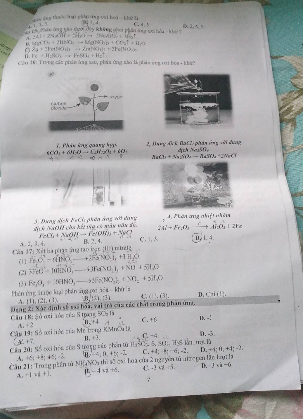 chân ứng thuộc loại phân ứng oxi hoá - khủ là
A 1,3,5.
(B) 1,4. C. 4,5 D. 2, 4, 5.
15 : Phân ứng nào dưới đây không phải phân ứng oxi hóa - khứ ?
A. 2Al+2NaOH+2H_2Oto 2NaAlO_2+3H_2uparrow .
MgCO_3+2HNO_3to Mg(NO_3)_2+CO_2uparrow +H_2O
droger 。 Zg+2Fe(NO_3)_3to Zn(NO_3)_2+2Fe(NO_3)_2
cáo D. Fe+H_2SO_4to FeSO_4+H_2uparrow .
Câu 16: Trong các phân ứng sau, phân ứng nào là phản ứng oxi hóa - khử?
I, Phản ứng quang hop. 2, Dung dịch BaCl_2 : hản ng với d ung
6CO_2+6H_2Oto C_6H_12O_6+6O_2
dịch Na₂SO₄
BaCl_2+Na_2SO_4to BaSO_4+2NaCl
3, Dung dich FeCl_3 phản ứng vhat Oi lung 4, Phản ứng nhiệt nhôm
dịch NaOH cho kết tủa có màu nâu đỏ, 2Al+Fe_2O_3xrightarrow fAl_2O_3+2Fe
FeCl_3+NaOHto Fe(OH)_3+NaCl
A. 2, 3, 4. B. 2, 4. C. 1, 3.
D, 1, 4.
Câu 17: Xét ba phận ứng tạo irọn (III) nitratç
(1) Fe_2O_3+6HNO_3^(-to 2Fe(NO_3))_3+3H_2O
(2) 3FeO+10HNO_3to 3Fe(NO_3)_3+NO+5H_2O
(3) Fe_3O_4+10HNO_3to 3Fe(NO_3)_3+NO_2+5H_2O
Phản ứng thuộc loại phản ứng oxi hóa - khử là D. Chi (1).
A. (1), (2), (3). B ,(2),(3) C. (1),(3).
Dạng 2: Xác định số oxi hóa, vai trò của các chất trong phản ứng.
Câu 18: Số oxi hóa của S trong SO_21
A. +2 B./+4 C. +6 D. -1
Câu 19: Shat o oxi hóa của Mn trong KMnO₄ là D. -3.
B. +3. C. +4.
+7
Câu 20: Số oxí hóa của S trong các phân tử H_2SO_3,S,SO_3,H_2S lần lượt là
A. + 6;+8;+6;-2. B +4; 0; +6; -2. C. +4;-8;+6;-2. D. +4; 0; +4; -2.
Câu 21: Trong phân tử NH₄N (O_3 thì số oxi hoá của 2 nguyên tử nitrogen lần lượt là
A. +1 a+1 B. - 4 và X C. -3va+5. D. -3va+6.
7
