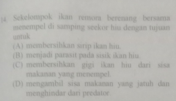 ]4 Sekelompok ikan remora berenang bersama
menempel di samping seekor hiu dengan tujuan
untuk
(A) membersihkan sirip ikan hiu.
(B) menjadi parasit pada sisik ikan hiu.
(C) membersihkan gigi ikan hiu dari sisa
makanan yang menempel.
(D) mengambil sisa makanan yang jatuh dan
menghindar dari predator.