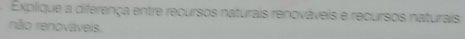 Explique a diferença entre recursos naturais renováveis e recursos naturais 
não renováveis.