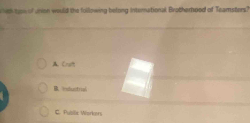 ich type of union would the following belong International Brotherhood of Teamsters?
A. Craft
B. Industrial
C. Public Workers