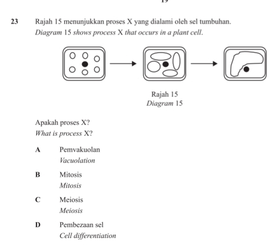 Rajah 15 menunjukkan proses X yang dialami oleh sel tumbuhan.
Diagram 15 shows process X that occurs in a plant cell.
Rajah 15
Diagram 15
Apakah proses X?
What is process X?
A Pemvakuolan
Vacuolation
B Mitosis
Mitosis
C Meiosis
Meiosis
D Pembezaan sel
Cell differentiation