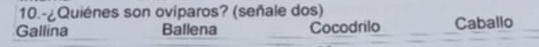 10.-¿Quiénes son oviparos? (señale dos)
Gallina Ballena Cocodrilo Caballo