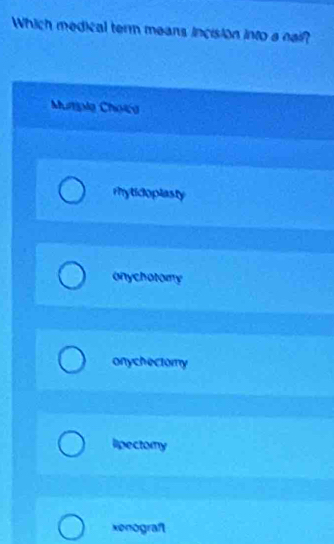 Which medical term means incision into a naif?
Mutpla Choicg
rhytidoplasty
onychotomy
onychectomy
lipectory
xenograft