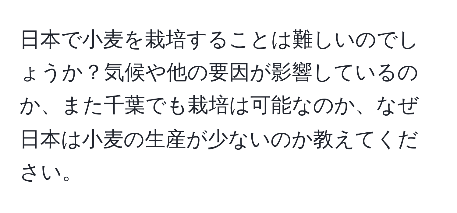 日本で小麦を栽培することは難しいのでしょうか？気候や他の要因が影響しているのか、また千葉でも栽培は可能なのか、なぜ日本は小麦の生産が少ないのか教えてください。