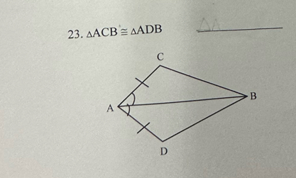 △ ACB≌ △ ADB _