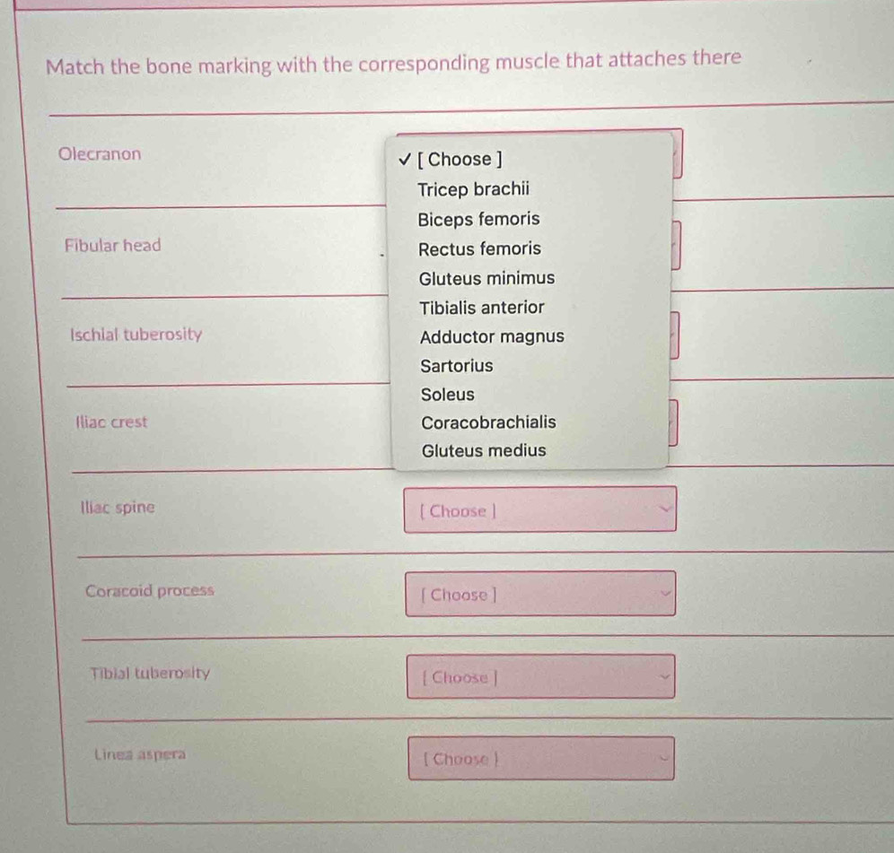 Match the bone marking with the corresponding muscle that attaches there