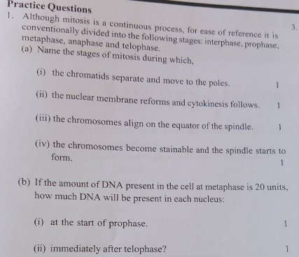 Practice Questions 
1. Although mitosis is a continuous process, for ease of reference it is 
3. 
conventionally divided into the following stages: interphase, prophase, 
metaphase, anaphase and telophase. 
(a) Name the stages of mitosis during which, 
(i) the chromatids separate and move to the poles. 1 
(ii) the nuclear membrane reforms and cytokinesis follows. 1 
(iii) the chromosomes align on the equator of the spindle. 1 
(iv) the chromosomes become stainable and the spindle starts to 
form. 1 
(b) If the amount of DNA present in the cell at metaphase is 20 units, 
how much DNA will be present in each nucleus: 
(i) at the start of prophase. 
1 
(ii) immediately after telophase? 1