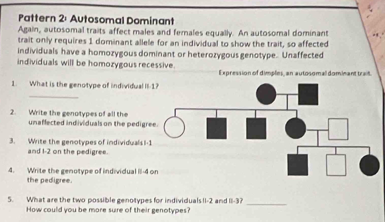 Pattern 2: Autosomal Dominant 
Again, autosomal traits affect males and females equally. An autosomal dominant 
trait only requires 1 dominant allele for an individual to show the trait, so affected 
individuals have a homozygous dominant or heterozygous genotype. Unaffected 
individuals will be homozygous recessive. 
Expression of dimples, an autosomal dominant trait. 
1. What is the genotype of individual II 
_ 
2. Write the genotypes of all the 
unaffected individuals on the pedigr 
3. Write the genotypes of individuals I- 
and I -2 on the pedigree. 
4. Write the genotype of individual II -4
the pedigree. 
5. What are the two possible genotypes for individuals II -2 and II -3?_ 
How could you be more sure of their genotypes?