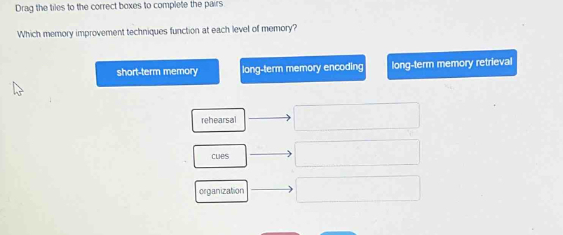 Drag the tiles to the correct boxes to complete the pairs.
Which memory improvement techniques function at each level of memory?
short-term memory long-term memory encoding long-term memory retrieval
rehearsal
cues
organization