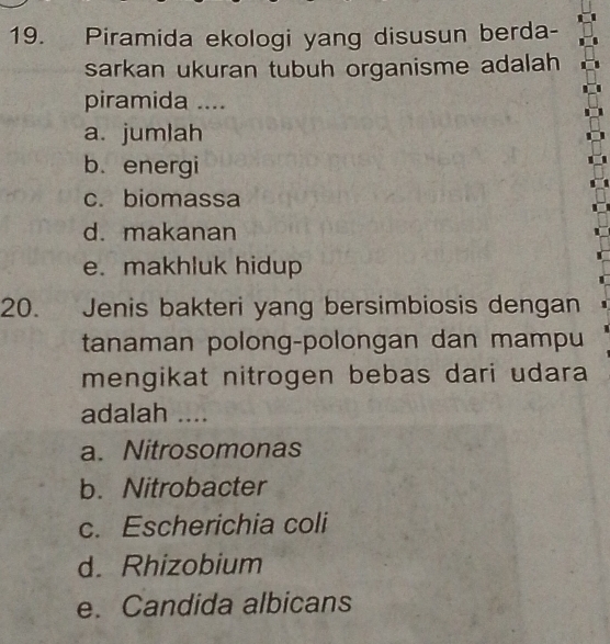 Piramida ekologi yang disusun berda-
sarkan ukuran tubuh organisme adalah
piramida ....
a. jumlah
b. energi
c. biomassa
d. makanan
e. makhluk hidup
20. Jenis bakteri yang bersimbiosis dengan
tanaman polong-polongan dan mampu
mengikat nitrogen bebas dari udara 
adalah ....
a. Nitrosomonas
b. Nitrobacter
c. Escherichia coli
d. Rhizobium
e. Candida albicans