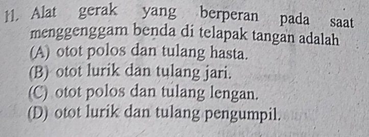 Alat gerak yang berperan pada saat
menggenggam benda di telapak tangan adalah
(A) otot polos dan tulang hasta.
(B) otot lurik dan tulang jari.
(C) otot polos dan tulang lengan.
(D) otot lurik dan tulang pengumpil.