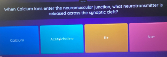 10/20
When Calcium ions enter the neuromuscular junction, what neurotransmitter is
released across the synaptic cleft?
Calcium Acet Icholine Na+