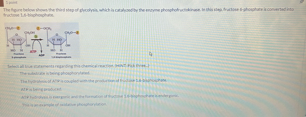 The figure below shows the third step of glycolysis, which is catalyzed by the enzyme phosphofructokinase. In this step, fructose 6-phosphate is converted into
fructose 1,6-bisphosphate.
Select all true statements regarding this chemical reaction. (HINT: Pick three...)
The substrate is being phosphorylated.
The hydrolysis of ATP is coupled with the production of fructose 1,6-bisphosphate.
ATP is being produced.
ATP hydrolysis is exergonic and the formation of fructose 1,6-bisphosphate is endergonic.
This is an example of oxidative phosphorylation.