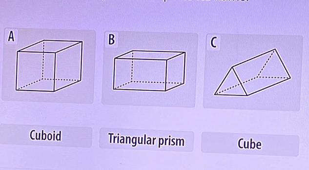 B
C
Cuboid Triangular prism Cube