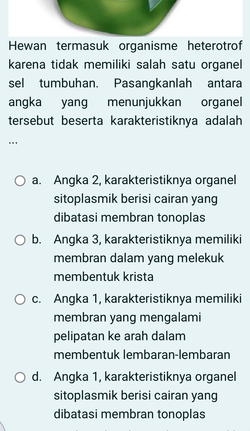 Hewan termasuk organisme heterotrof
karena tidak memiliki salah satu organel
sel tumbuhan. Pasangkanlah antara
angka yang menunjukkan organel
tersebut beserta karakteristiknya adalah 
…
a. Angka 2, karakteristiknya organel
sitoplasmik berisi cairan yang
dibatasi membran tonoplas
b. Angka 3, karakteristiknya memiliki
membran dalam yang melekuk
membentuk krista
c. Angka 1, karakteristiknya memiliki
membran yang mengalami
pelipatan ke arah dalam
membentuk lembaran-lembaran
d. Angka 1, karakteristiknya organel
sitoplasmik berisi cairan yang
dibatasi membran tonoplas