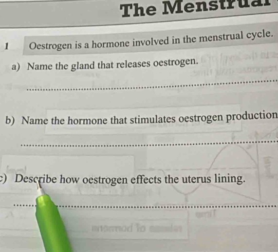 The Menstrual 
1 Oestrogen is a hormone involved in the menstrual cycle. 
a) Name the gland that releases oestrogen. 
_ 
_ 
_ 
b) Name the hormone that stimulates oestrogen production 
_ 
c) Describe how oestrogen effects the uterus lining. 
_ 
_