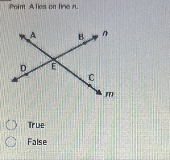 Paint A lies on line n.
True
False